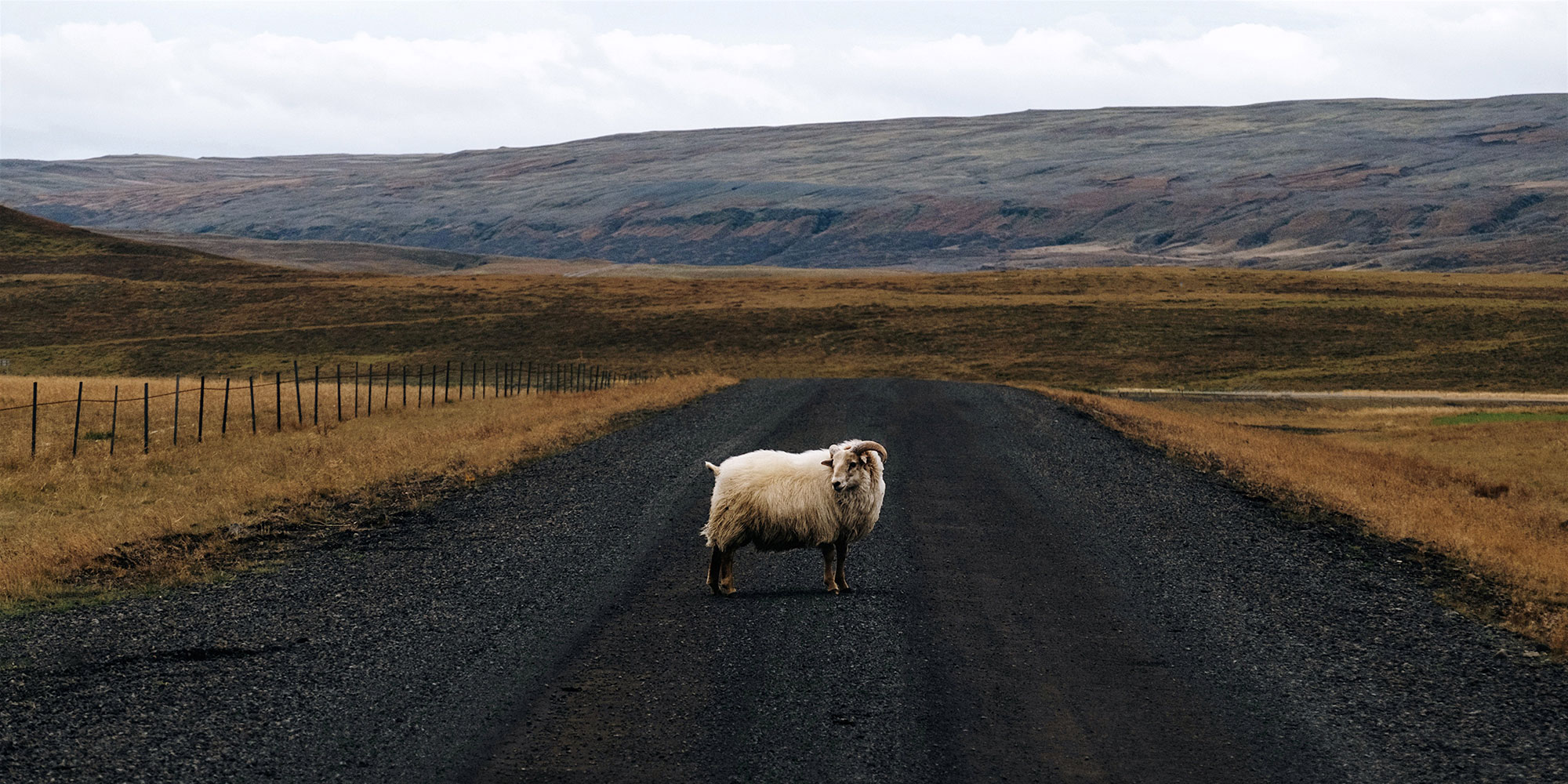 Photo by Kirill on Unsplash