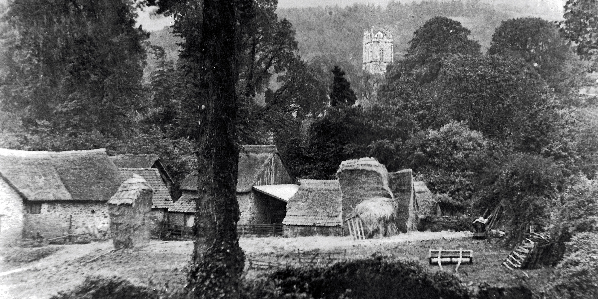 East Luccombe Farm