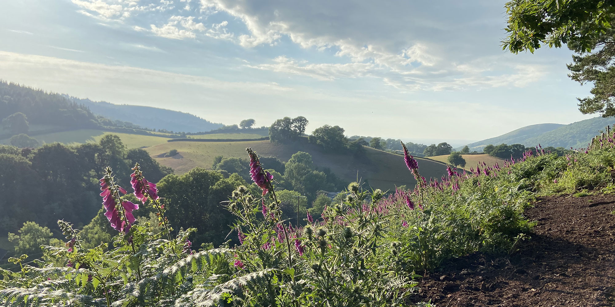Exmoor