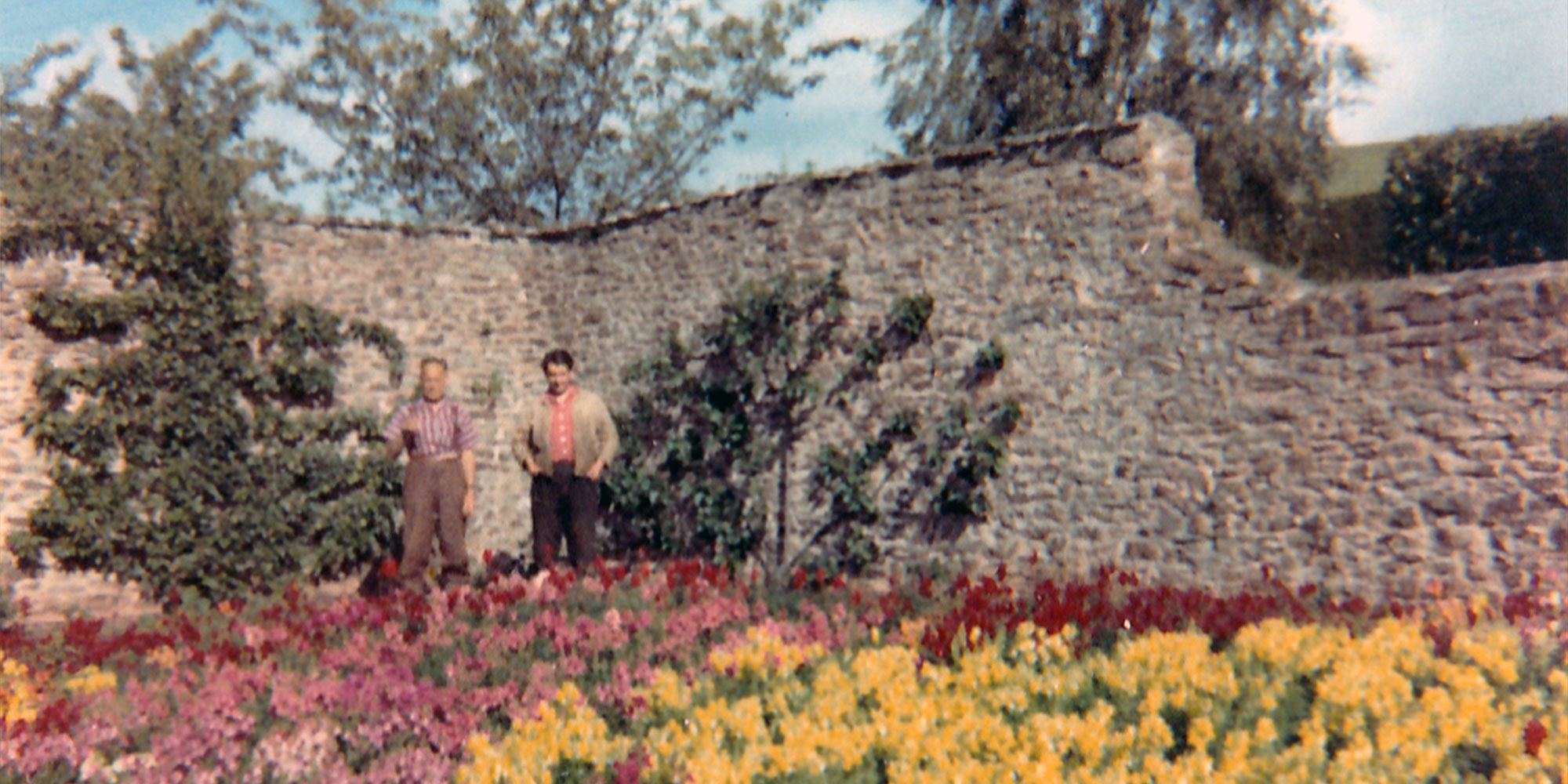The walled garden at Luccombe Knap 1962