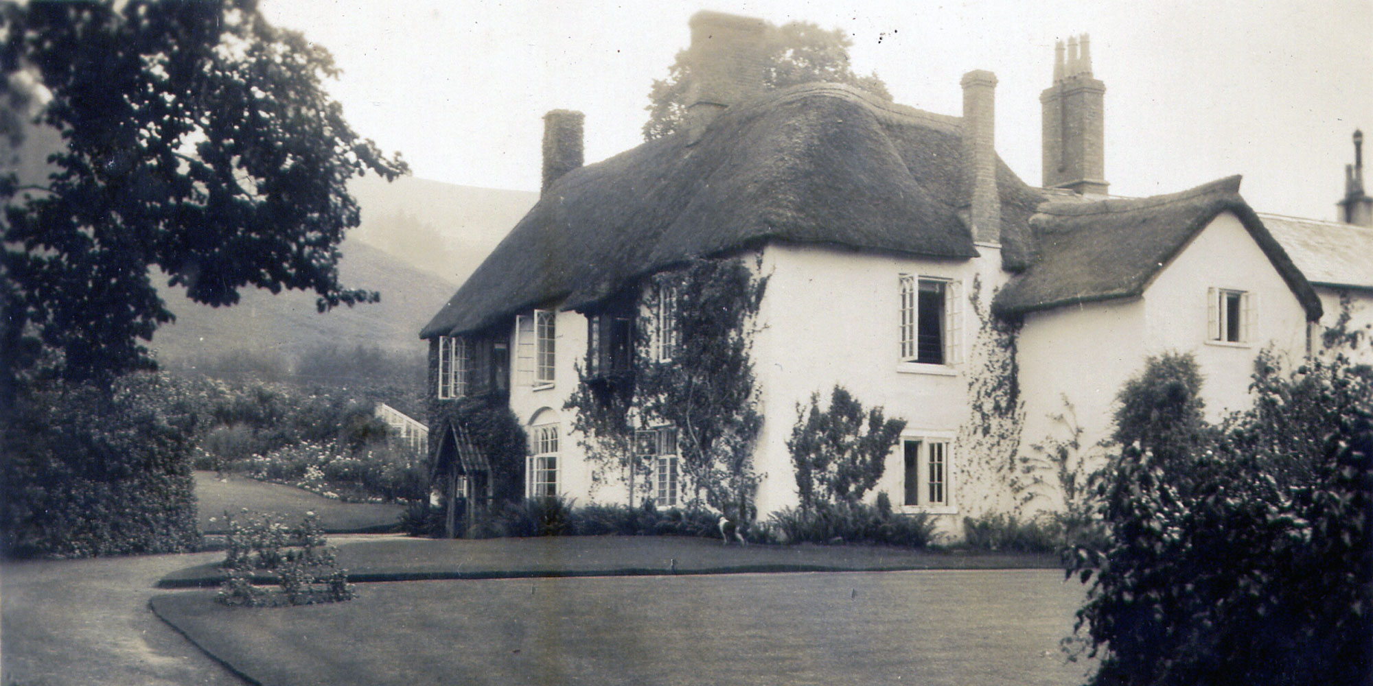 Wychanger in Luccombe