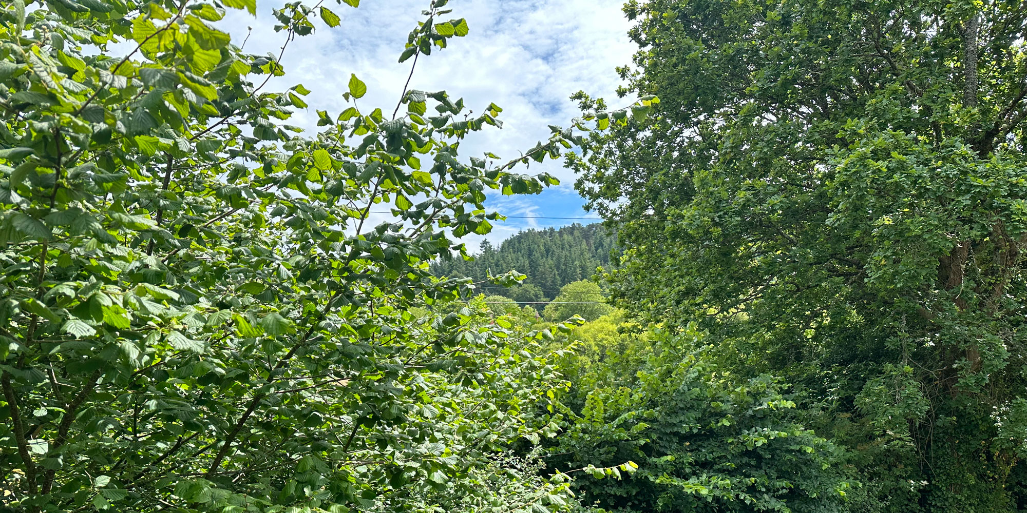 Site of proposed Luccombe play area