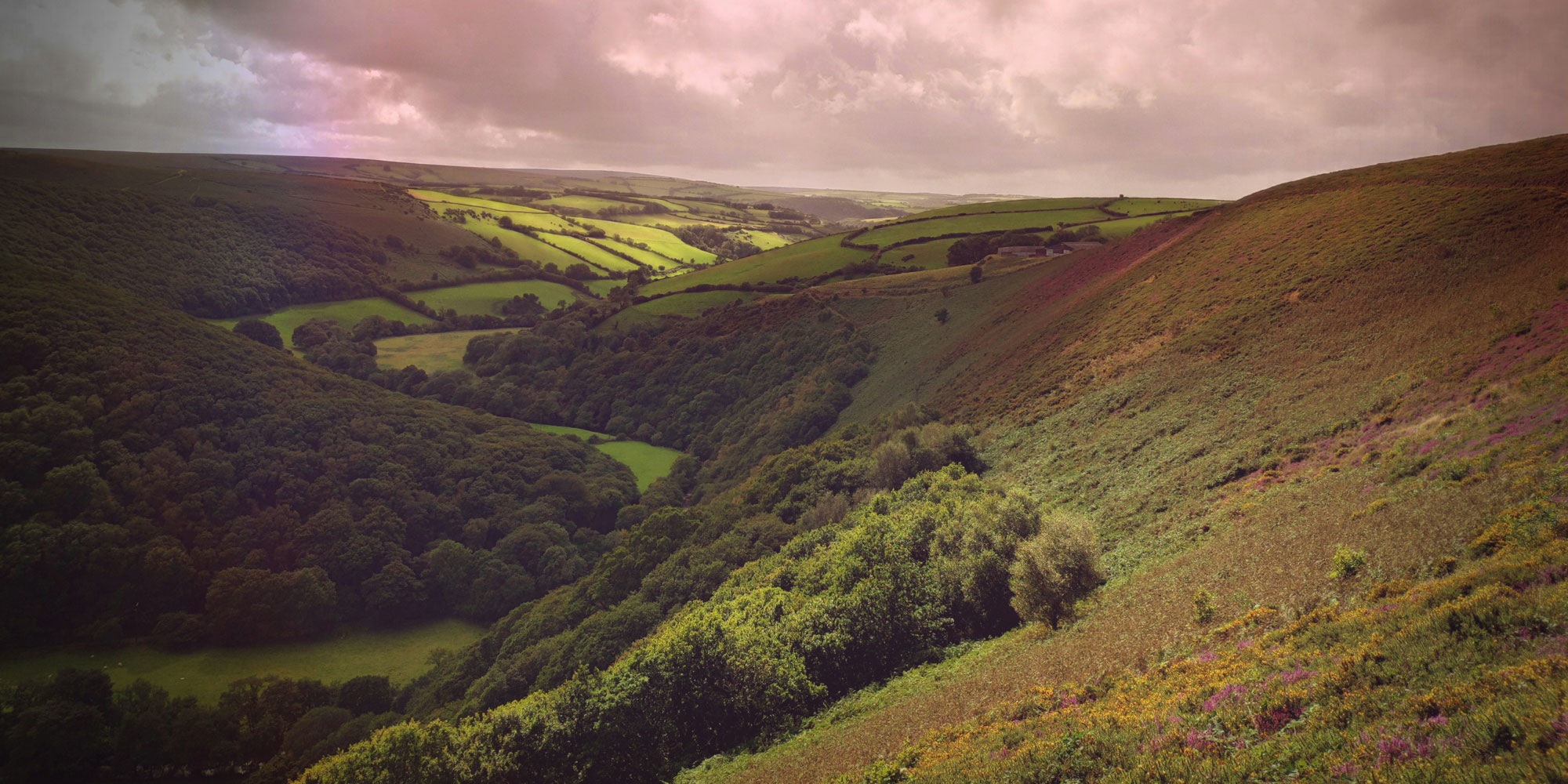Exmoor Housing Needs Survey